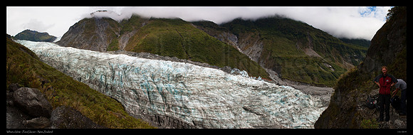 On the Track to Fox Glacier