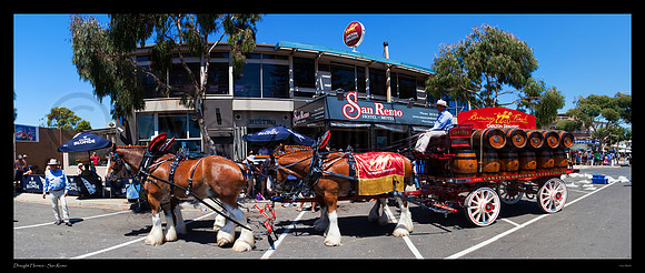 CUB Clydesdales