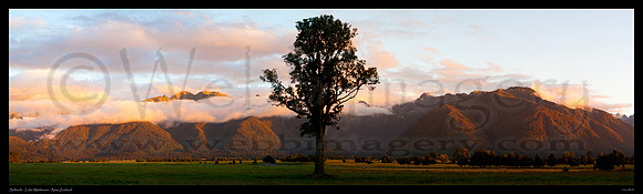 Solitary - Lake Matheson